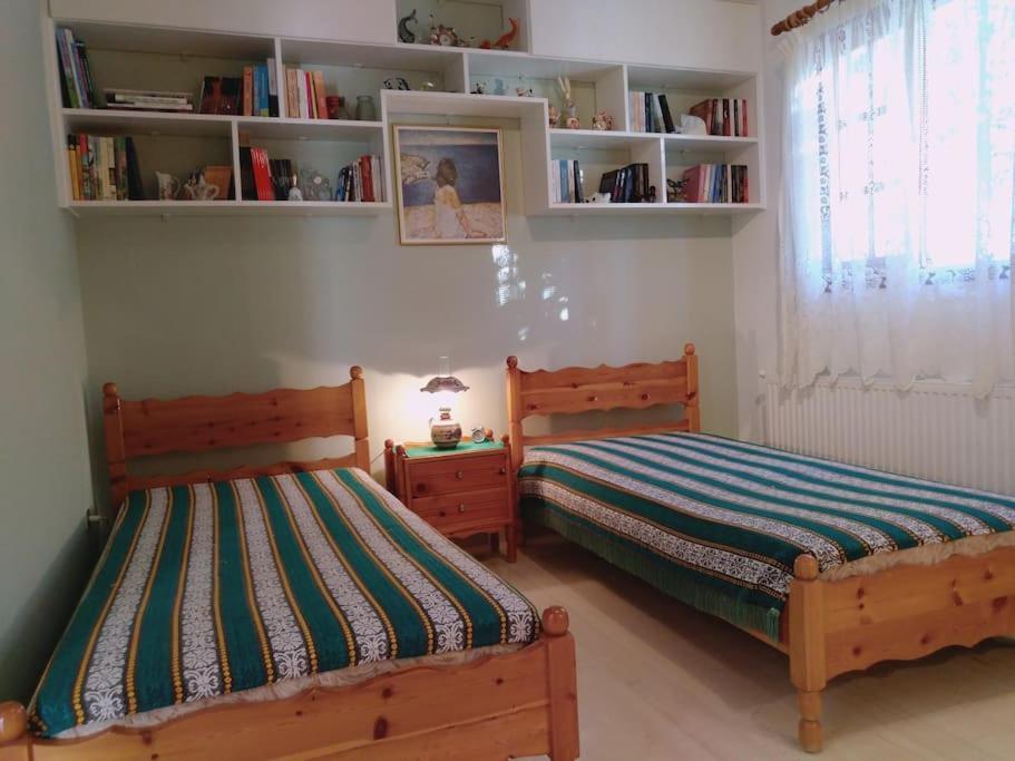 Explore Aegina Island 索瓦拉 外观 照片
