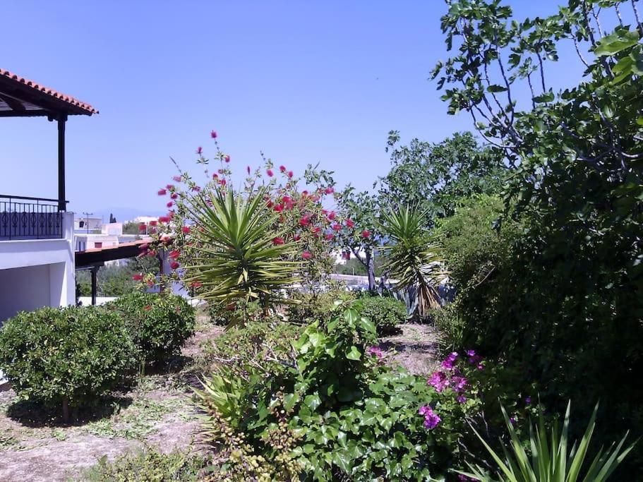 Explore Aegina Island 索瓦拉 外观 照片